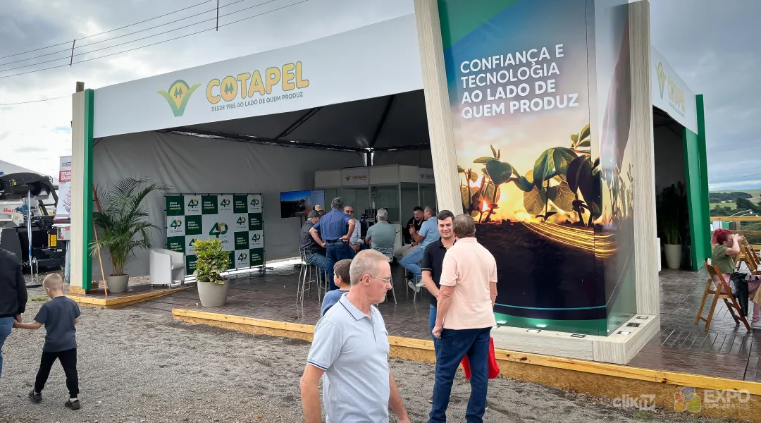 Imagem da notícia